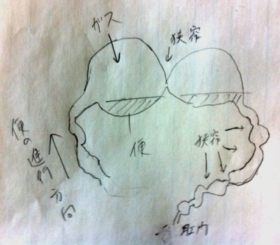 写真h
